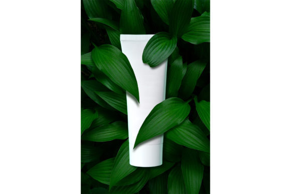 Download Beauty in Nature. - Nature Collection